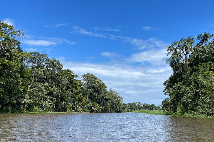 Lagoon Tortuguero
